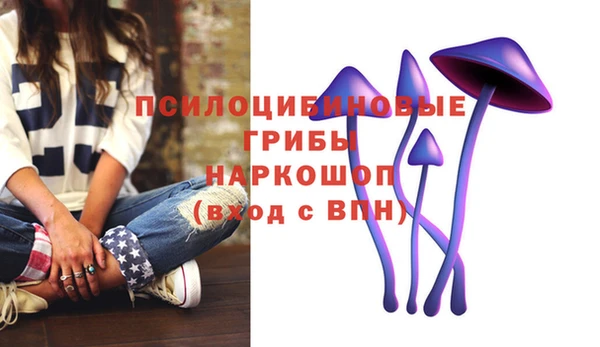 тгк Абинск