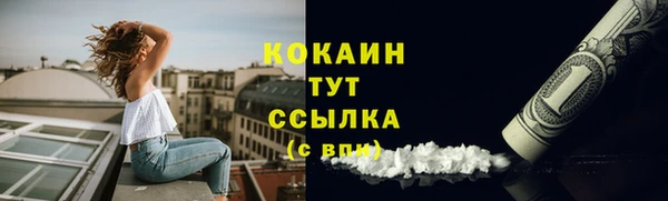трава Абаза