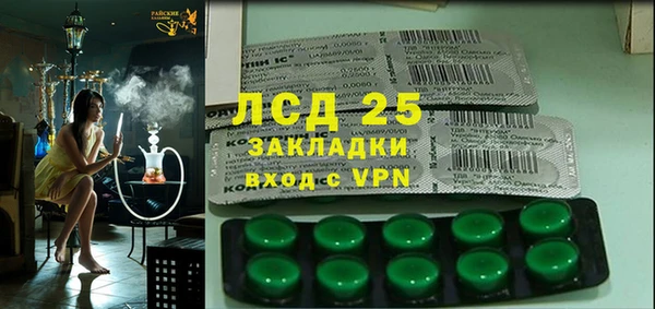 стаф Алексин