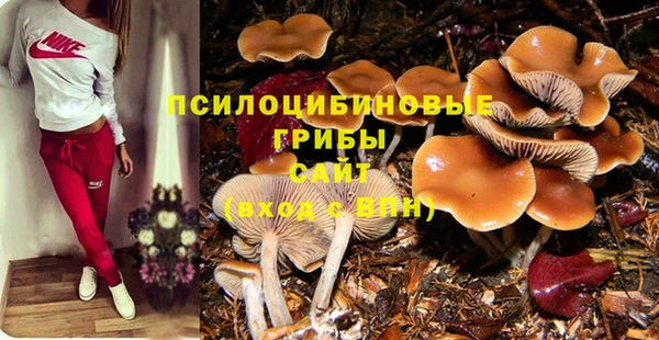 тгк Абинск