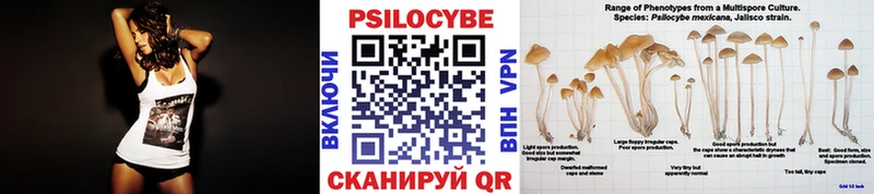 Псилоцибиновые грибы Cubensis  Сарапул 